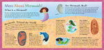 Five Little Mermaids - Children's Book - Elves & the Shoemaker