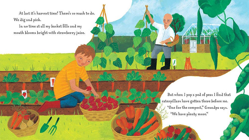 Grandpa's Garden - Children's Book - Elves & the Shoemaker