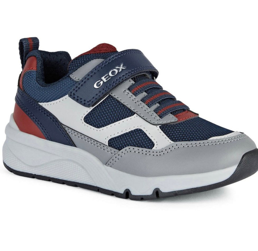 Geox Rooner Trainer Grey navy - Elves & the Shoemaker