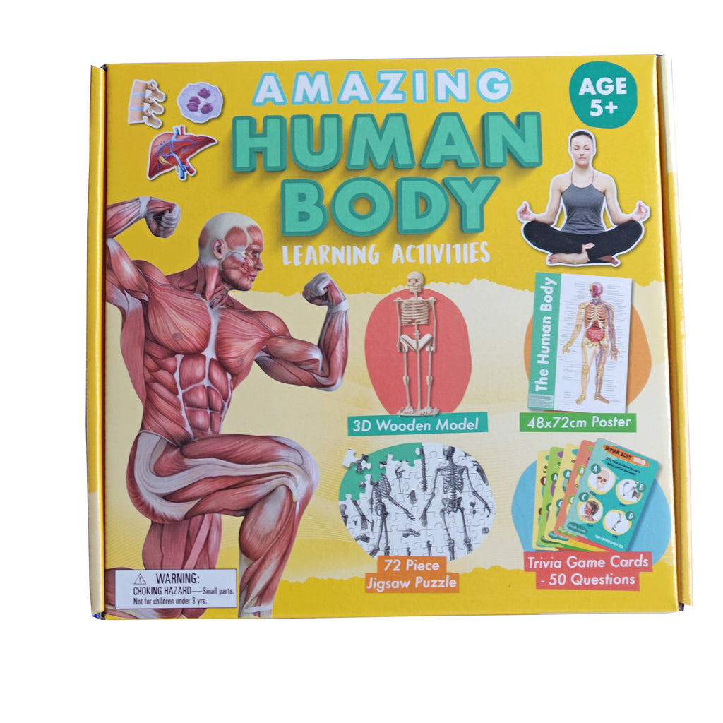 Amazing Human Body - Activity Box Set - Elves & the Shoemaker